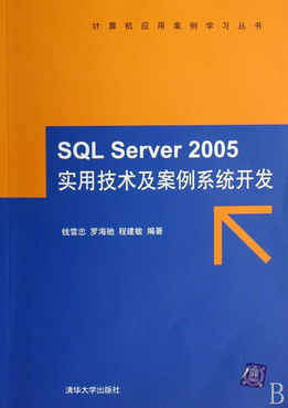 SQL Server 2005實用技術(shù)及案例系統(tǒng)開發(fā) 附光盤的計算機應用案例學習指南